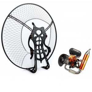 单人动力伞 1