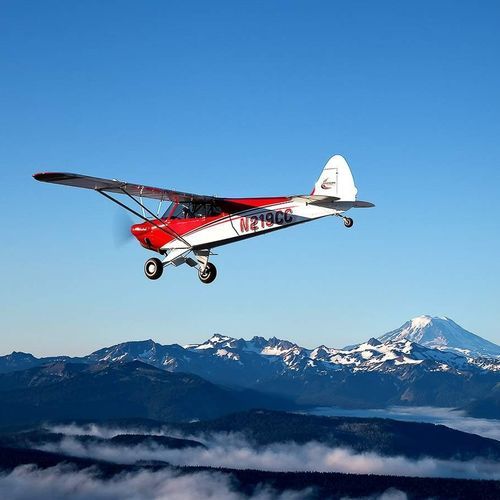 训练用飞机 - Carbon Cub SS - HORUS AERO - 旅游用 / 单引擎 / 活塞发动机