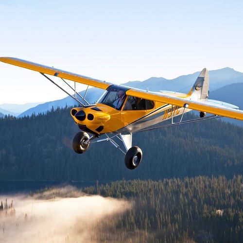 单引擎飞机 - Carbon Cub EX-2 - HORUS AERO - 活塞发动机 / 双人 / 组件式