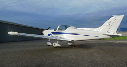 双人超轻型飞机 - Pioneer 300 series - ALPI AVIATION s.r.l. - 四冲程发动机 / 旅游用 / 单引擎
