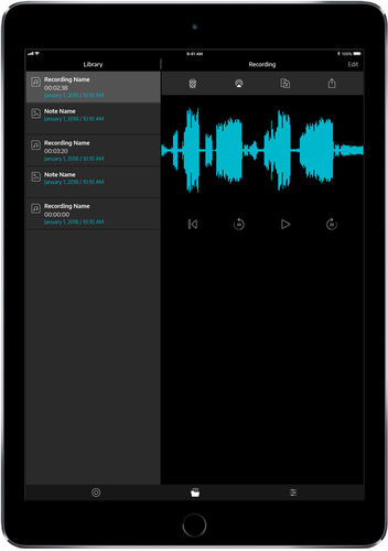 移动应用 - FlightLink™ - Lightspeed Aviation, Inc