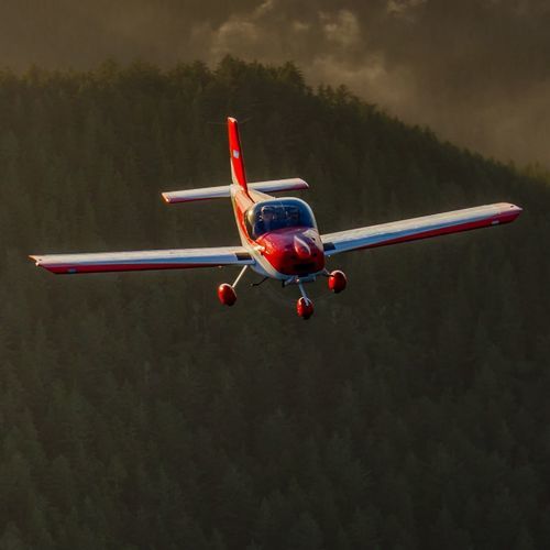训练用飞机 - RV–12iS - Vans Aircraft, Inc. - 旅游用 / 单引擎 / 活塞发动机