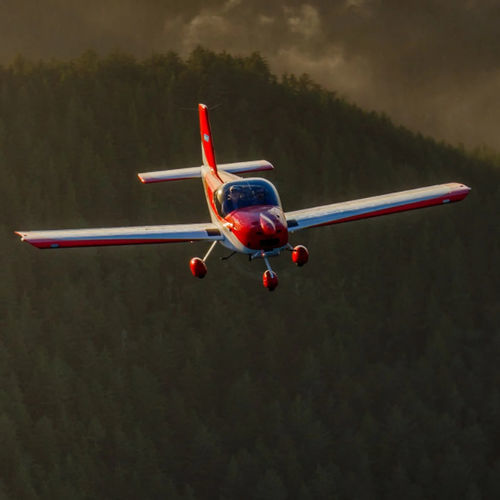训练用运动飞机 - RV-12iS - Vans Aircraft, Inc. - 私人 / 单引擎 / 活塞发动机