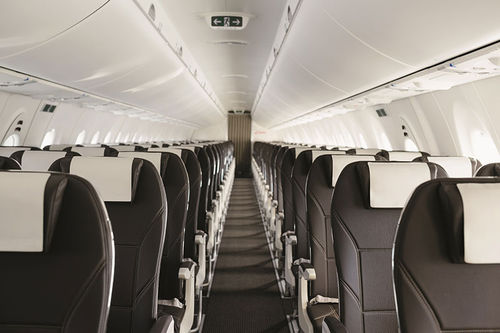 机舱椅套 - ACM - Aircraft Cabin Modification - GmbH - 皮质