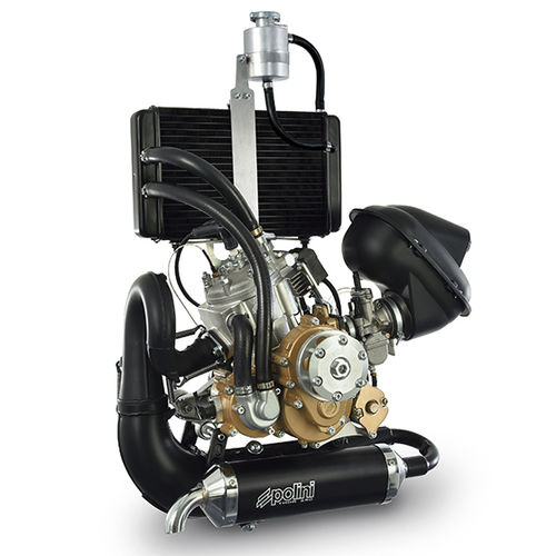 10-50ch活塞发动机 - THOR 250 - POLINI MOTORI SPA - 10 - 50kg / 动力伞用 / 二冲程