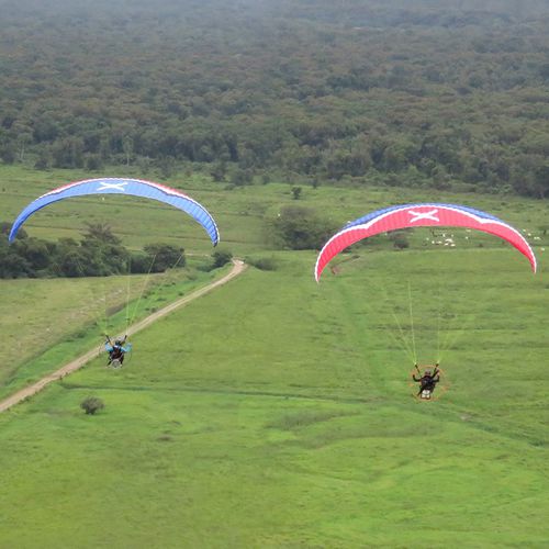 性能动力伞 - Effect XT - SOL PARAGLIDERS - 单座