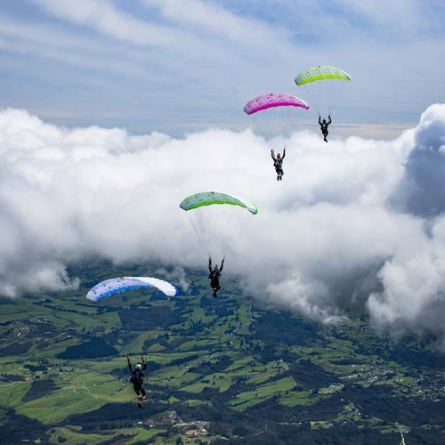 运动降落伞 - LEIA - NZ Aerosports - 性能 / 单座