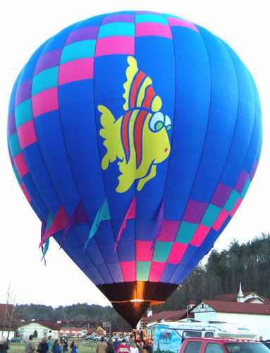 旅游用热气球 - AX9-118 - Head Balloons, Inc. - 客运 / 座篮 / 带有燃烧嘴