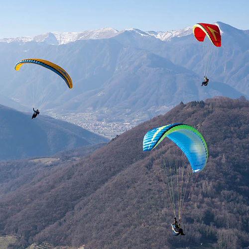 性能滑翔伞 - MITO 2 RS - Swing Flugsportgeräte GmbH - 高山 / 单座