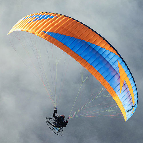 单人动力伞 - STING RS - Swing Flugsportgeräte GmbH - 活塞发动机