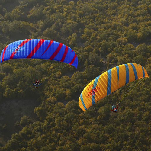 性能滑翔伞 - Aquila  - Icaro paragliders - 中间 / 自由式 / 单座