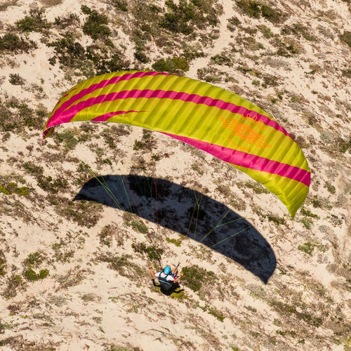性能滑翔伞 - PICA² - Icaro paragliders - 高山 / 单座