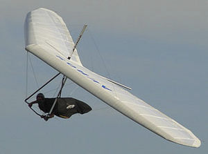 性能三角翼 -  DISCUS C  - Aeros Ltd. - 串联
