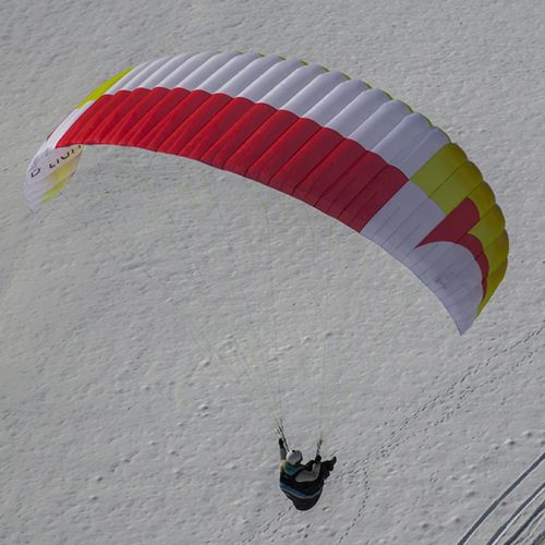 初级滑翔伞 - D-LIGHT series - Triple Seven Gliders - 高山 / 单座