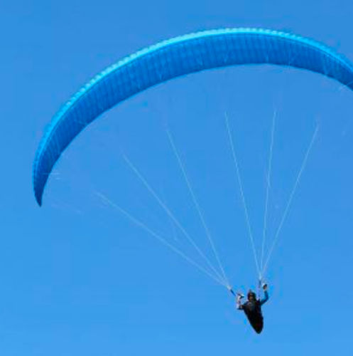 性能滑翔伞 - Q-LIGHT 3 - Triple Seven Gliders - 单座