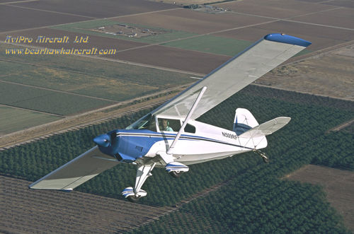 旅游用飞机 - Bearhawk Aircraft - 单引擎 / 活塞发动机 / 4人座