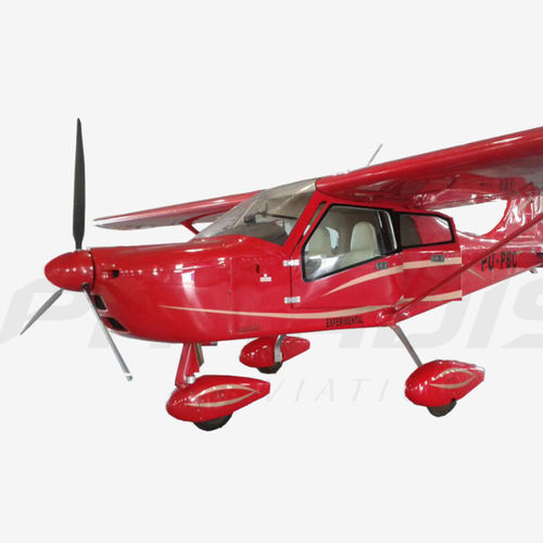 单引擎飞机 - P1 NG - Paradise Industria Aeronautica - 四冲程发动机 / 双人 / 极轻型