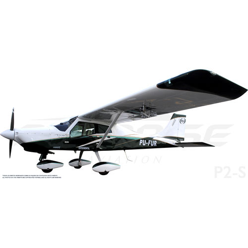 单引擎飞机 - P2-S - Paradise Industria Aeronautica - 四冲程发动机 / 双人 / 极轻型