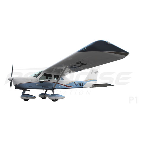 单引擎飞机 - P1 - Paradise Industria Aeronautica - 四冲程发动机 / 双人 / 极轻型