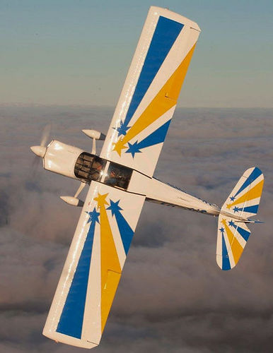 特技飞行飞机 - Super Decathlon - American Champion Aircraft - 旅游用 / 单引擎 / 活塞发动机
