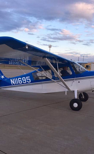 特技飞行飞机 - CITABRIA AURORA 7ECA - American Champion Aircraft - 旅游用 / 单引擎 / 活塞发动机