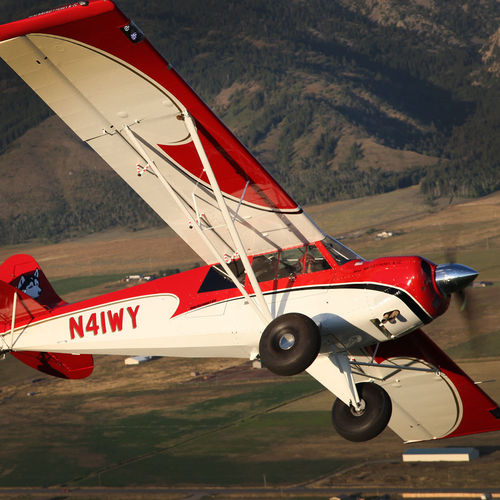 旅游用飞机 - Husky 200 - Aviat Aircraft, Inc. - 单引擎 / 活塞发动机 / 4人座