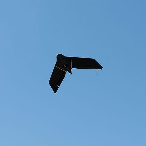专业用途无人机 - eBee X - AgEagle - 监控 / 测绘 / 固定翼