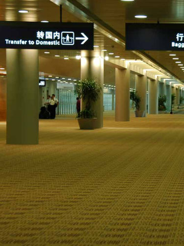 机场地毯 - Antron Carpet Fiber - 尼龙