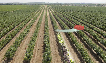 专业用途无人机 - drone hopper - DRONE HOPPER - 农用 / 旋翼