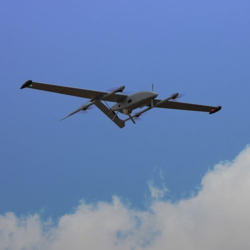 专业用途无人机 - WanderB-VTOL - Blue Bird Aero Systems - 监控 / 侦察 / 固定翼