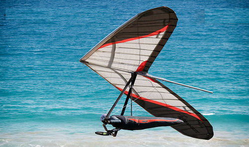 运动三角翼 - Litespeed RX - LiteFlite Pty Ltd/Moyes - 单座