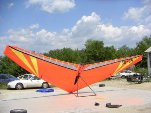 性能动力三角翼机翼 - C15 AX  - Apollo Aircrafts - 串联