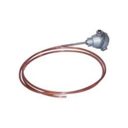 RTD温度传感器 - DS2530  - TT ELECTRONICS - Pt100 / 用于油 / 用于水