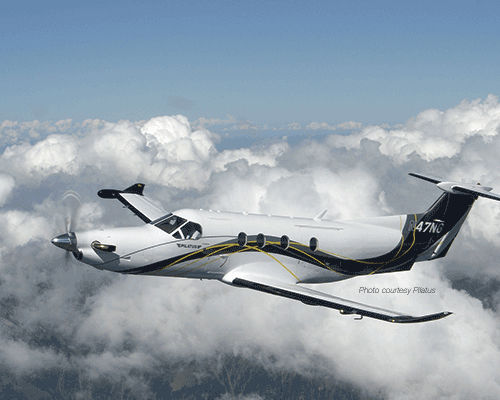 螺旋桨防冰系统 - Pilatus PC-12 - UTC AEROSPACE SYSTEMS GOODRICH DE-ICING - 气动 / 轻型飞机