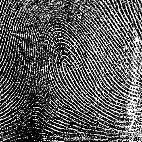 生物特征软件 - AFIS/ABIS - DERMALOG Identification Systems - 虹膜识别 / 机场 / 自动化