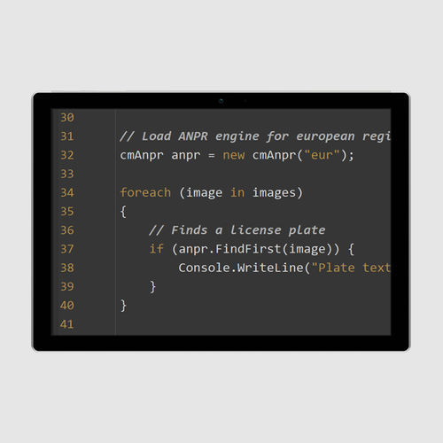 门禁软件 - Carmen® FreeFlow - Adaptive Recognition - 用于航空工程