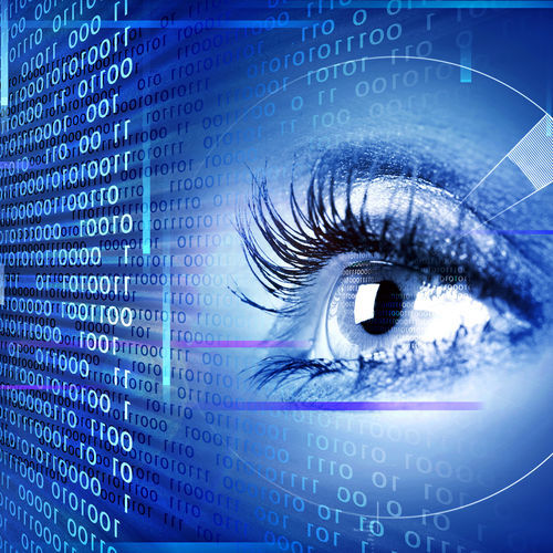 管理软件 - EyeBank® - IrisGuard - 安全防护型 / 生物特征 / 虹膜识别