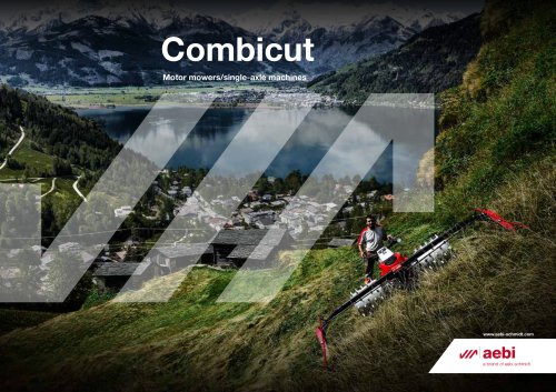 Combicut