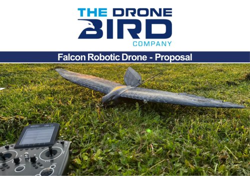 Falcon Robotic Drone