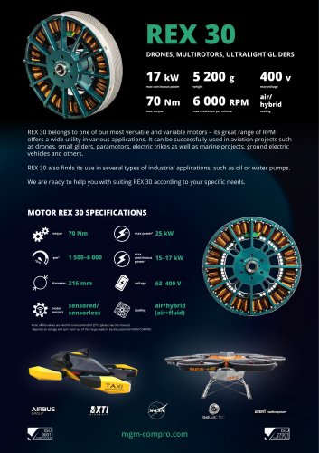 REX 30 - 25kW ELECTRIC MOTOR