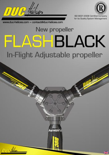 FLASHBLACK flyers