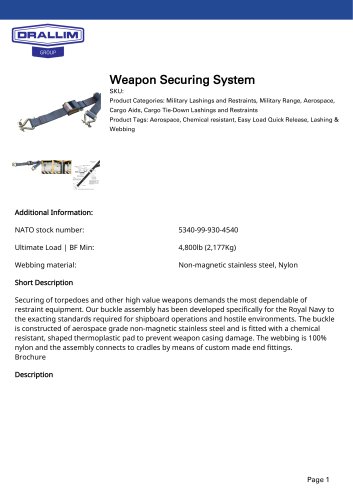 Weapon Securing System