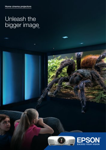 The ultimate home cinema experience