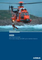 Mini Poster H225