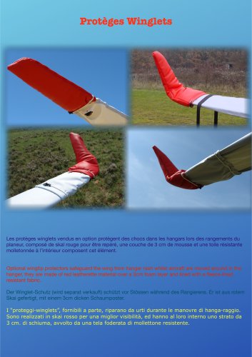 AA WINGLETS GLIDER