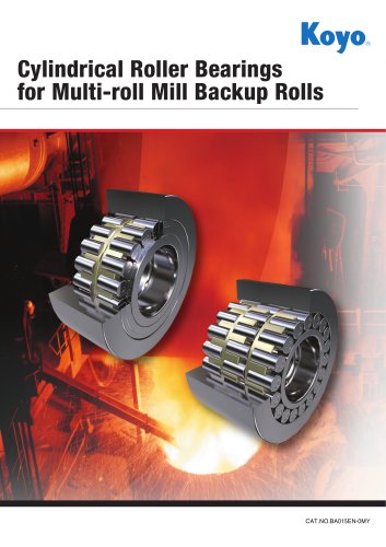 Cylindrical Roller Bearings for Multi-roll Mill Backup Rolls